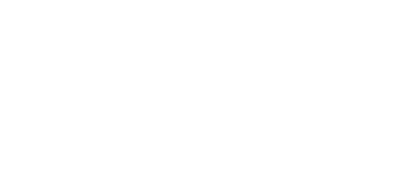 PalVerse