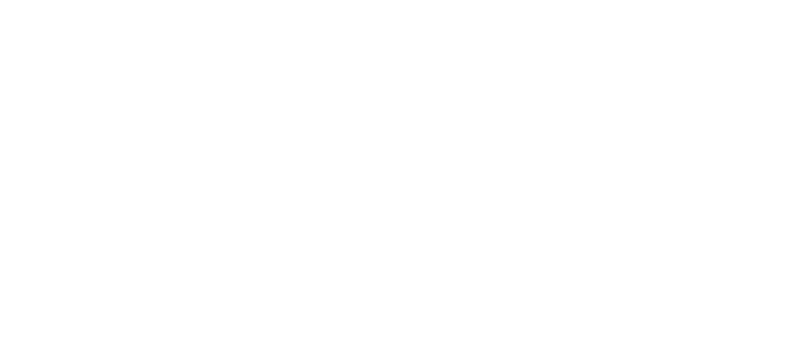 Steam